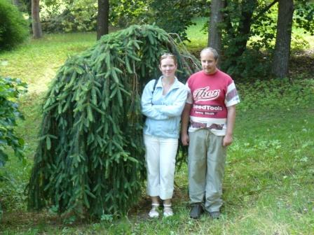 Arborétum Borová Hora