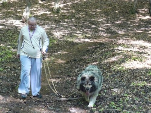 Turistický pochod na Bukovinku