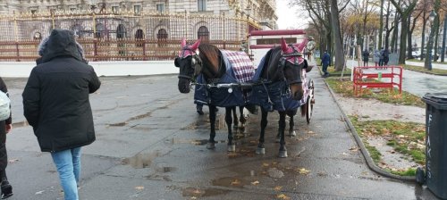 06.12.2022 VIEDEŇ S NÁVŠTEVOU ČOKOLÁDOVNE