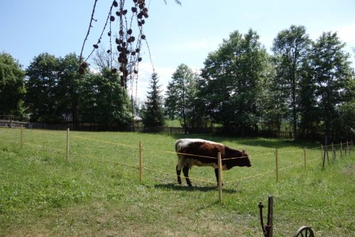 VÝLET STARÁ ĽUBOVŇA 03.06.2022