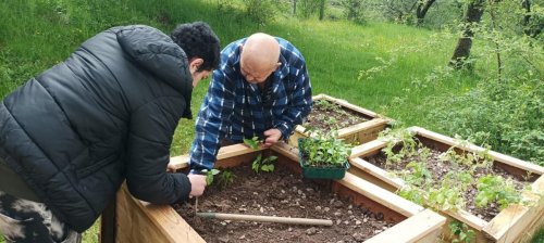 SADENIE ZELENINOVÝCH PRIESAD