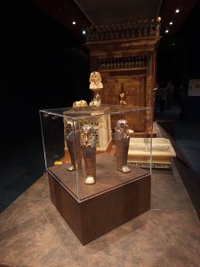 19.11.2025 Výstava Tutanchamon Bratislava