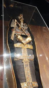 19.11.2025 Výstava Tutanchamon Bratislava