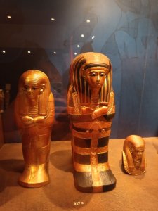 19.11.2025 Výstava Tutanchamon Bratislava