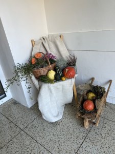 Jeseň je časom farieb, úrody a útulnosti, a práve v tomto duchu sme sa rozhodli vyzdobiť naše zariadenie! S príchodom jesene sme sa pustili do tvorby a premenili naše priestory na očarujúce jesenné kráľovstvo, ktoré dých...<br /> Jeseň u nás