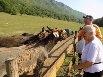 Expedícia za sysľami