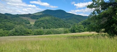 Pochod seniorov Lučatínskym chotárom